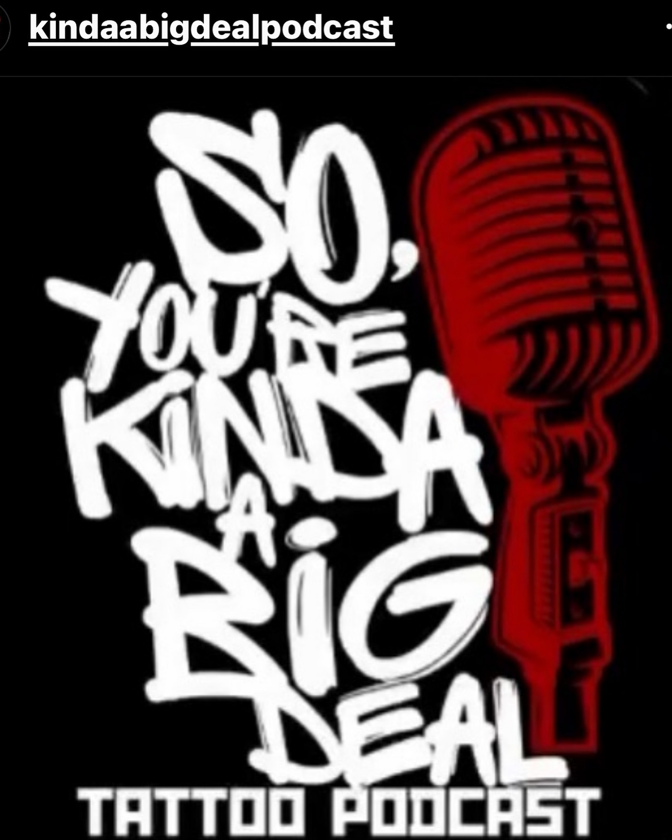 I WAS INTERVIEWed FOR @kindaabigdealpodcast